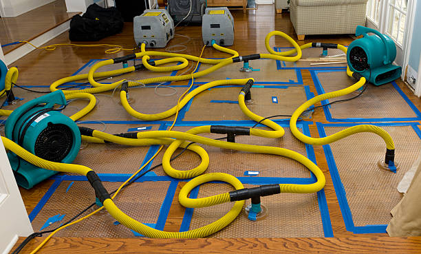 Professional Crawl Space Water Removal technician working in Leary, GA